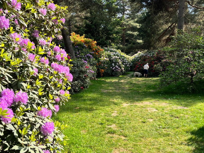 23-06-03 16-38-35 5788